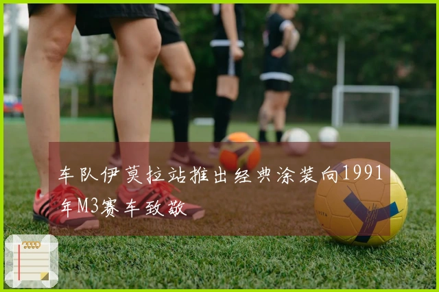 车队伊莫拉站推出经典涂装向1991年M3赛车致敬